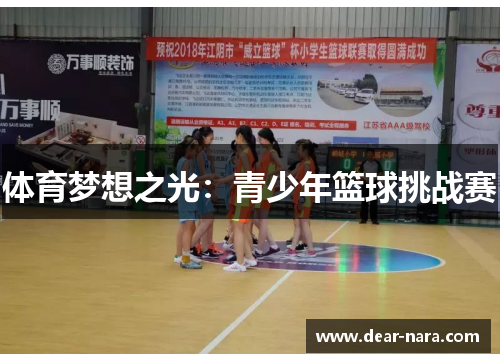 体育梦想之光：青少年篮球挑战赛